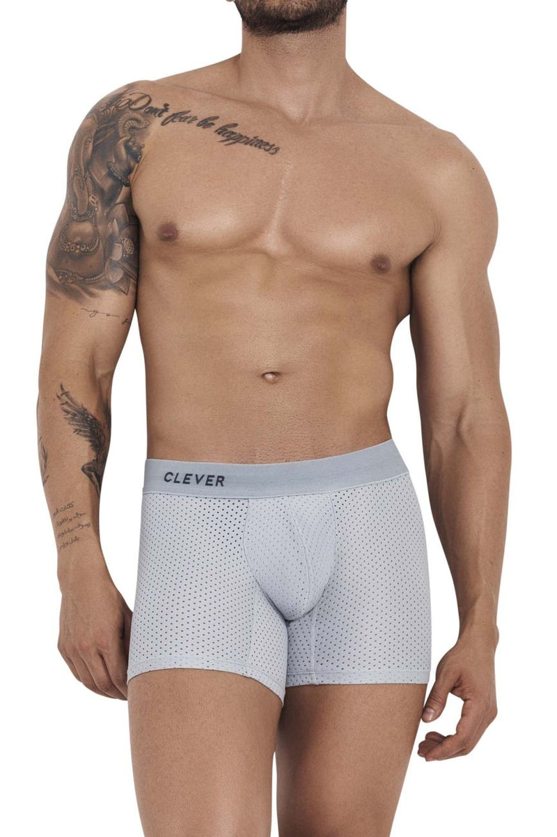 Increíble 1260 Euphoria Boxer Briefs Color Gris