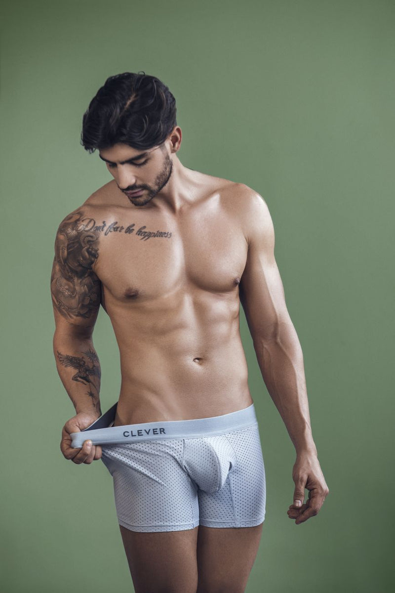 Increíble 1260 Euphoria Boxer Briefs Color Gris