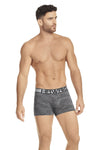 HAWAI 41972 Boxer Briefs Color Gris