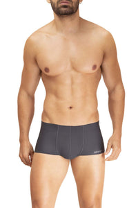 HAWAI 42293 Microfiber Trunks Color Gray