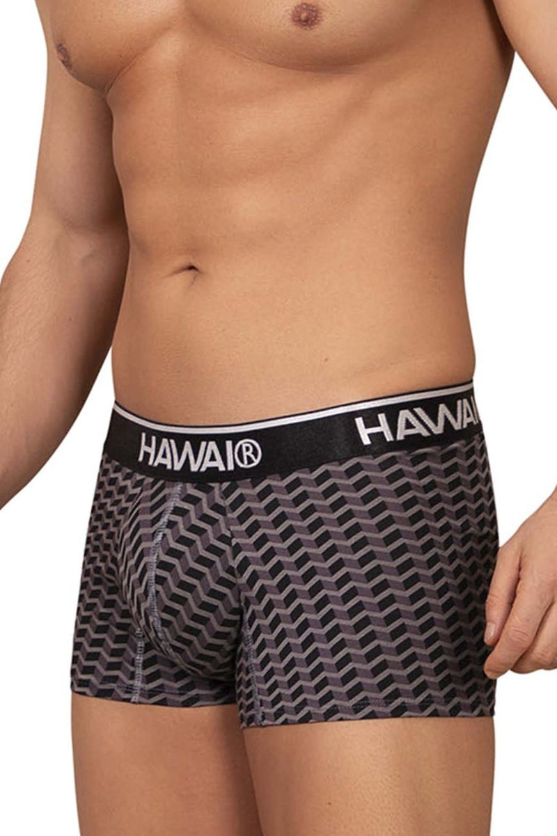 HAWAI 42371 Printed Trunks Color Gray