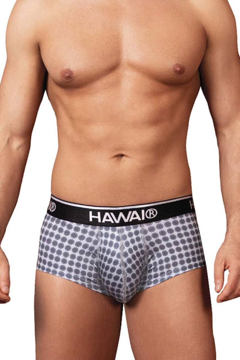 Hawai 42430 Briefs imprimés Color Grey