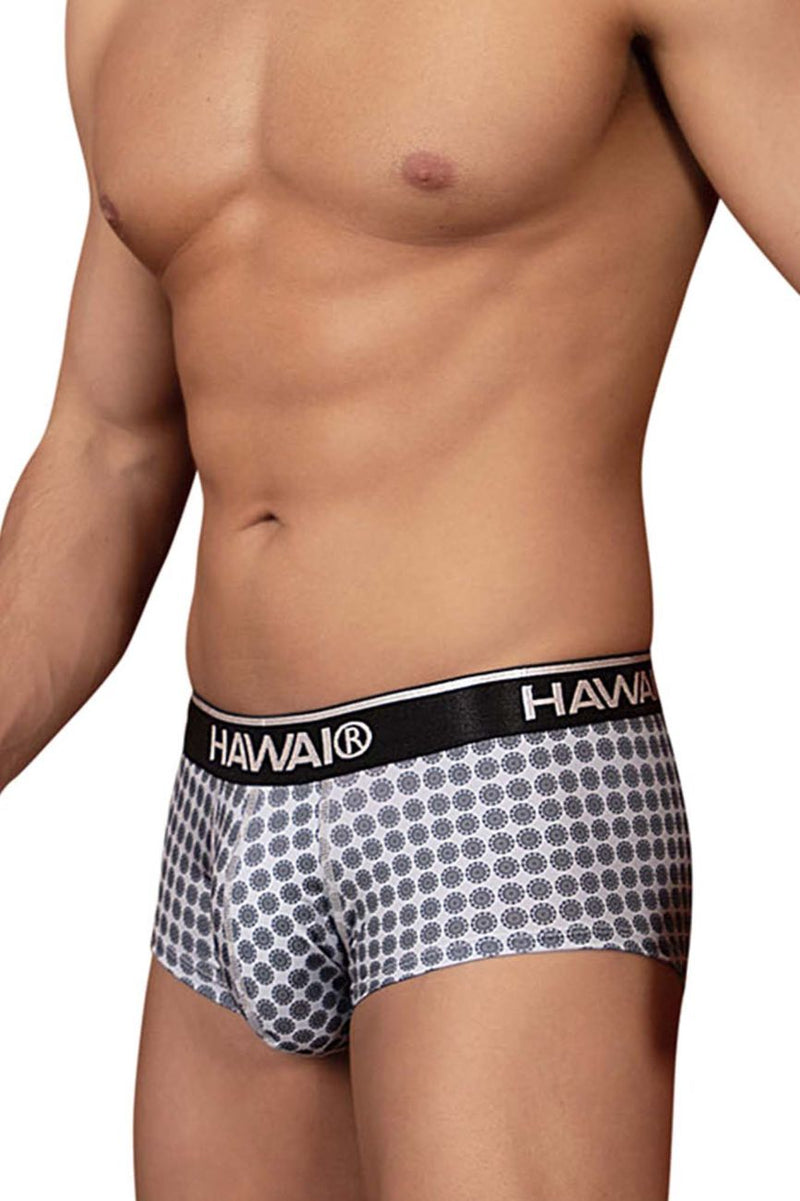 Hawai 42430 Briefs imprimés Color Grey