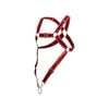 MaleBasics DMBL07 DNGEON Cross Cockring Harness اللون الأحمر