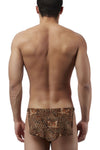 Pouvoir masculin 329030 Animal Tarzan String Color Brown