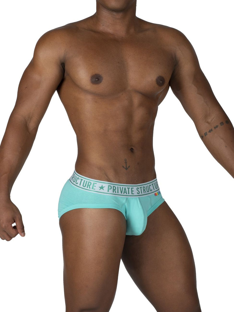 Estructura privada EPUT4385 Pride 2pk Mini breve Mini Briefs Color Blanco-Verde