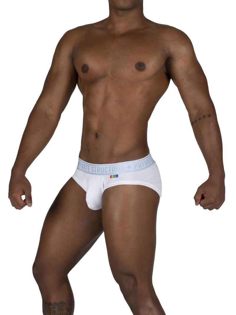 Structure privée Eput4385 Pride 2pk Mid Taist Mini Briefs Couleurs blanc-vert