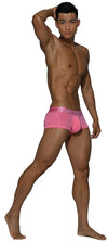 Estructura privada PBUX4073 Platinum Bamboo Trunks Color Blush