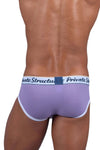 Estructura privada SCUS4529 Classic Mid Winist Mini Briefs Color Purple