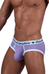 Estructura privada SCUS4529 Classic Mid Winist Mini Briefs Color Purple