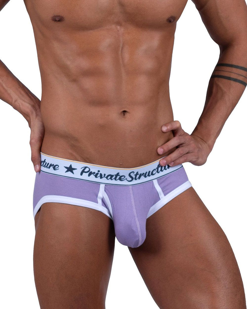 Estructura privada SCUS4529 Classic Mid Winist Mini Briefs Color Purple